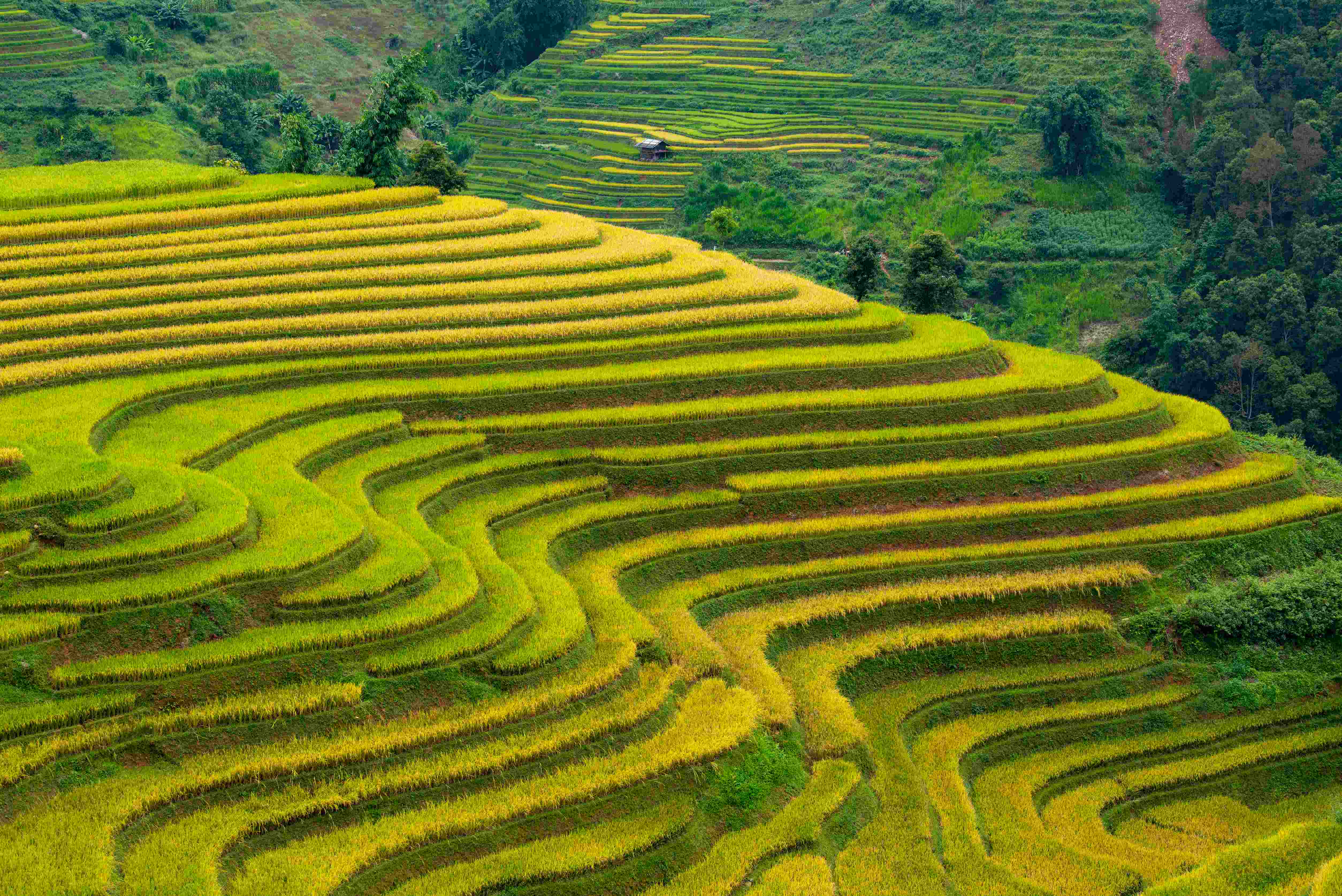 Agricultural and food systems landscape